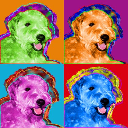 wheaten terrier