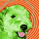 wheaton terrier art