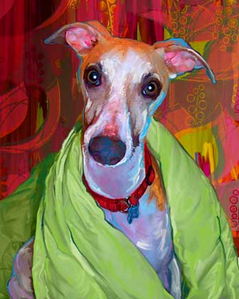 whippet
