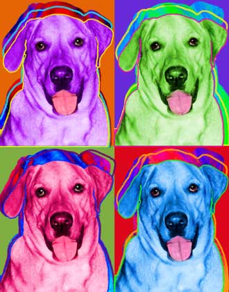 labrador retriever art