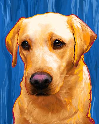 yellow lab