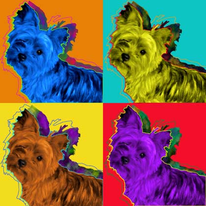 yorkie pop art