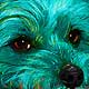 yorkie portrait