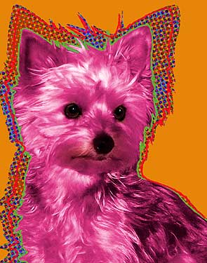yorkie pop art