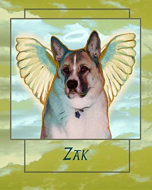 akitas