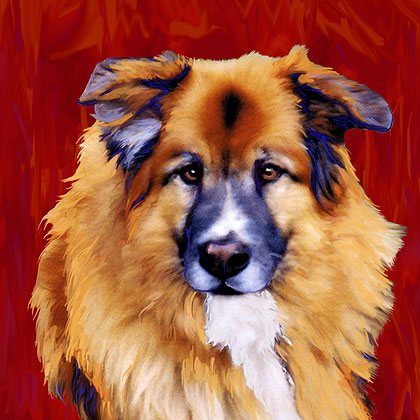 dog portraits