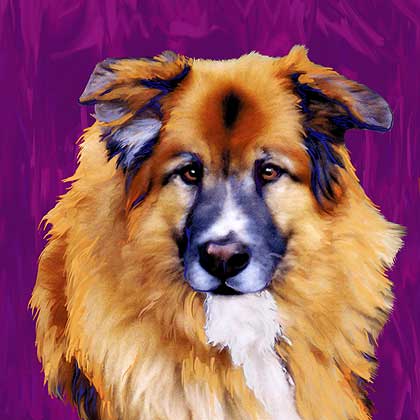 dog portraits