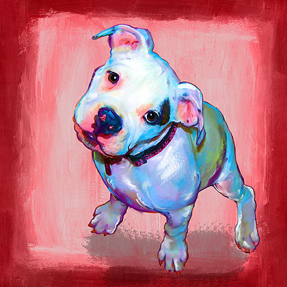 american bulldog puppy art portrait